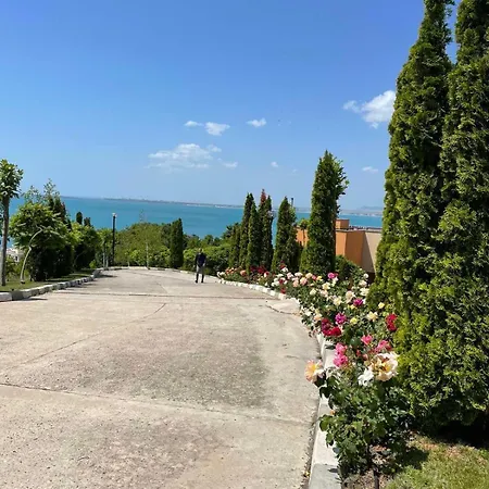 Noks Sp -st.vlas * Szveti Vlasz
